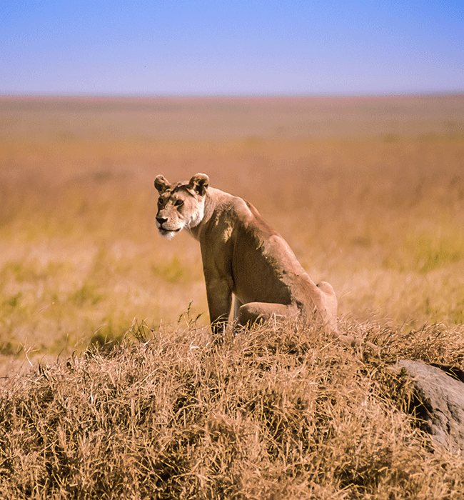 Serengeti National Park